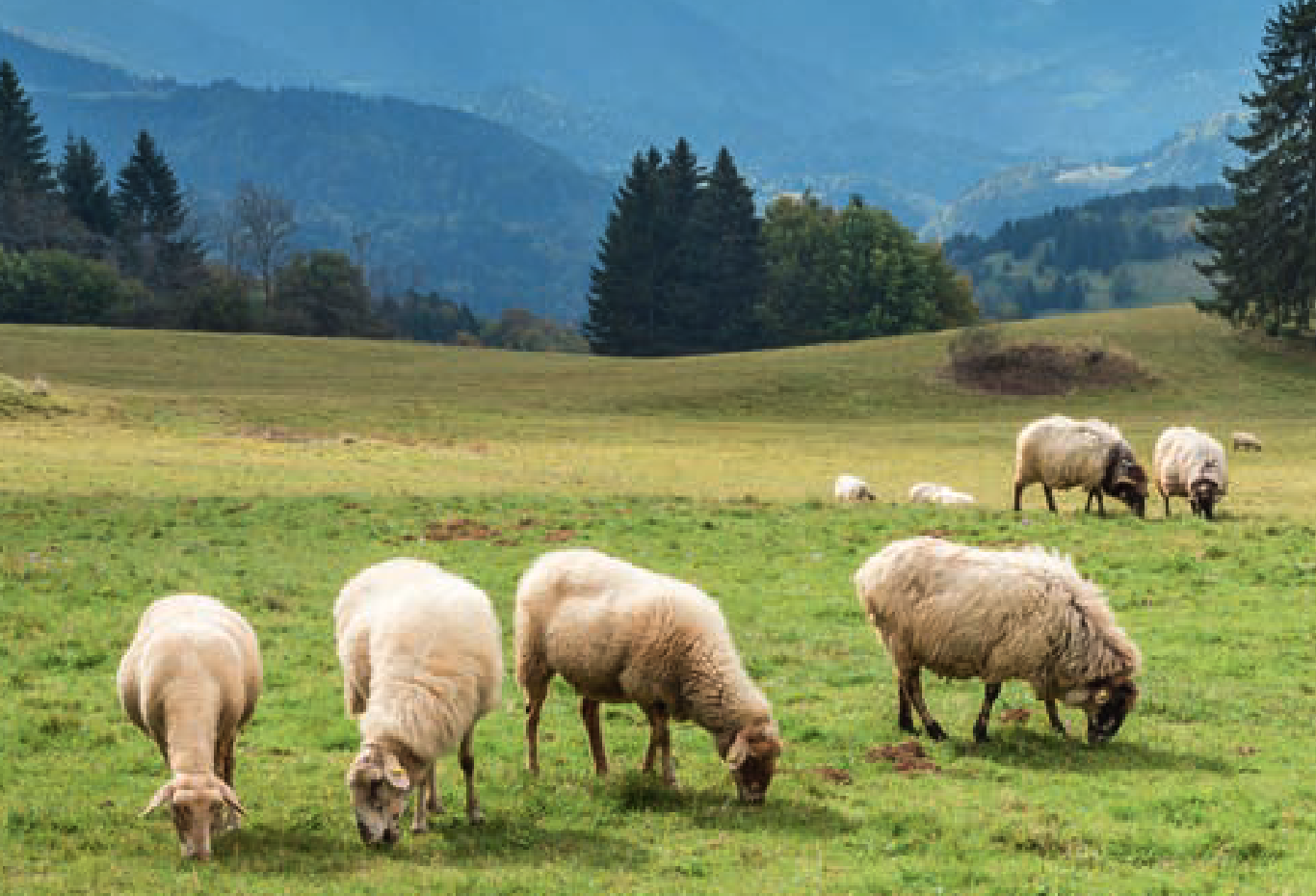Pour une transition écologique, équitable et solidaire de notre agriculture et de notre alimentation